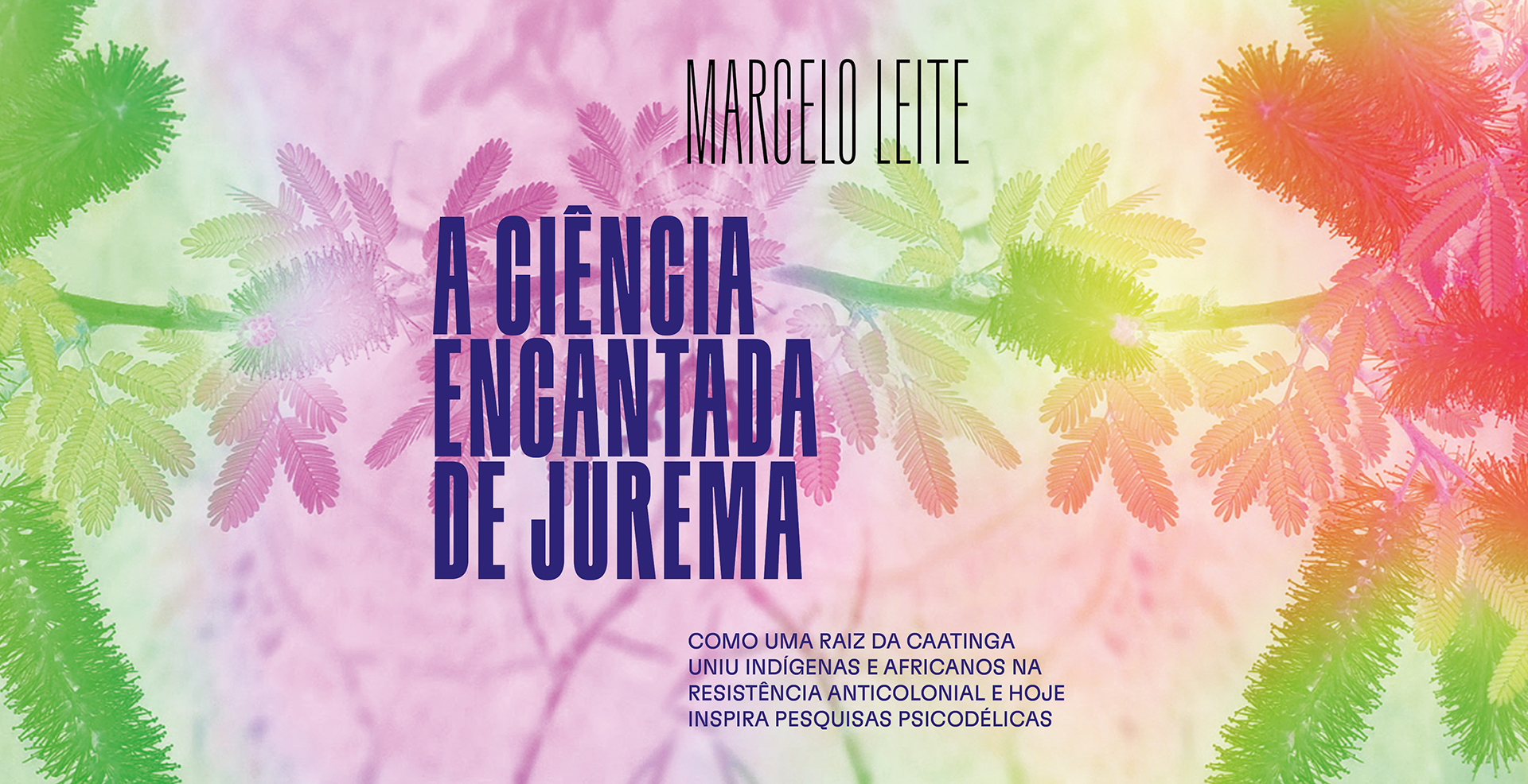 Jurema
